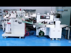 De horizontale Machine Duurzame 50Hz 4 van de Alcoholzwabber de Zijmachine van de Verbindingszak