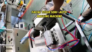 Lage prijs gezichtsdoekjes Semi-automatische zaksluitmachine